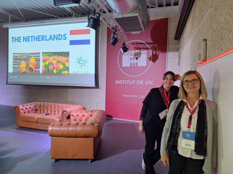 Perpetuum mobile 9 – NETINVET